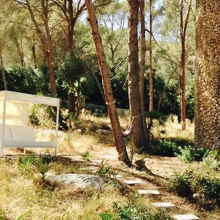 Elegant Villa: Pollenca Poolside Retreat Villa Port de Pollenca